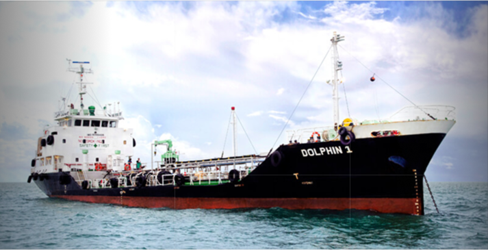 MT. Dolphin 1
